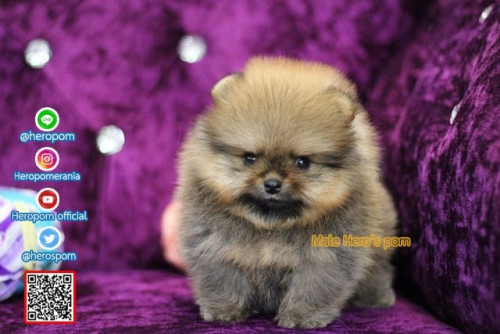 M02123 Edit 191202 0005