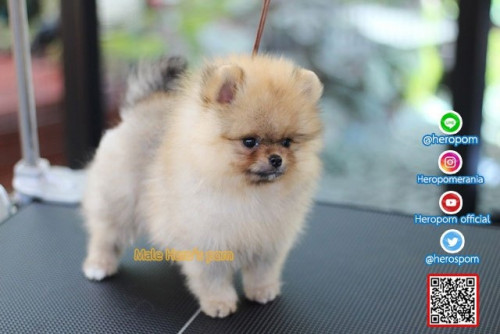 M03122 Edit 191204 0006