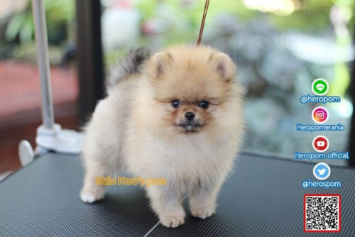 M03122 Edit 191204 0010