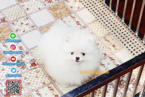 M03123 Edit 191204 0004