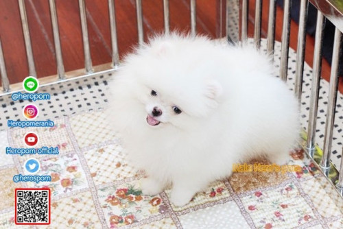 M03123 Edit 191204 0006