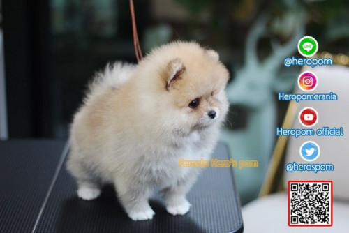 F011124 Edit 191202 0003