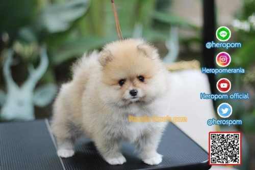 F011124 Edit 191202 0008