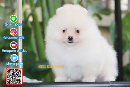 M011123 Edit 191202 0001