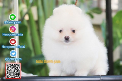 M011123 Edit 191202 0002