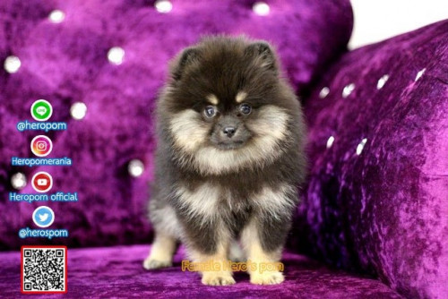 F07121 Edit 191207 0002