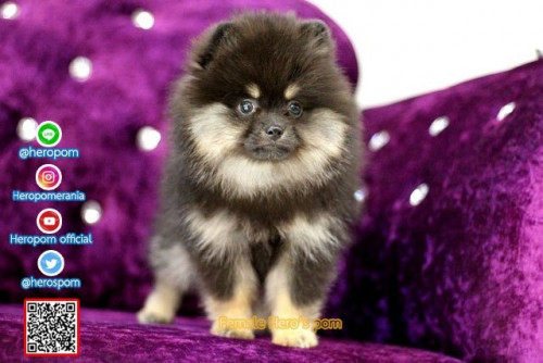 F07121 Edit 191207 0003