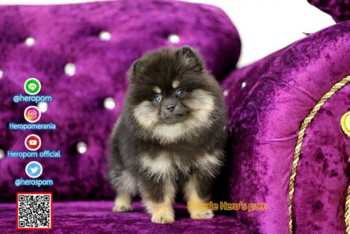 F07121 Edit 191207 0007