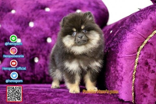 F07121 Edit 191207 0008