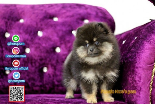 F07121 Edit 191207 0010