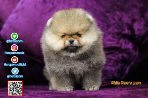 M07122 Edit 191207 0002