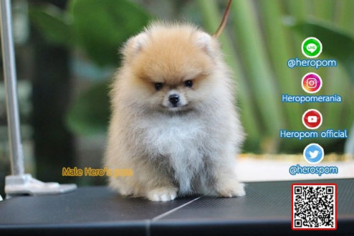 M30111 Edit 191202 0009