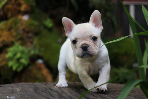 Male0001 191201 0002