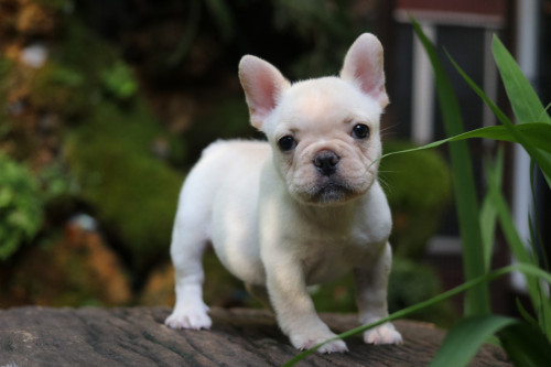 Male0001 191201 0003