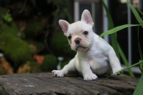 Male0001 191201 0007