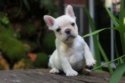 Male0001 191201 0008