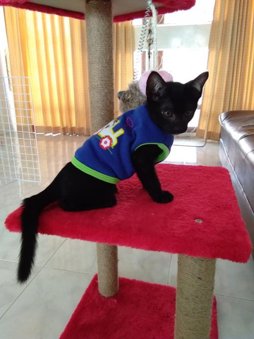 79030237 1346951558809870 8171976184666521600 n