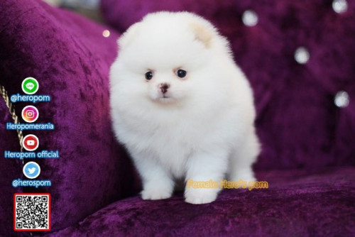 F05126 Edit 191207 0001