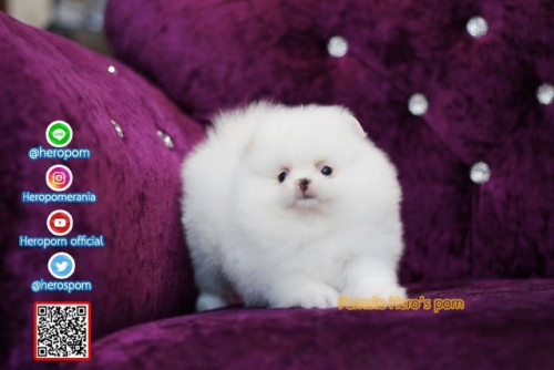 F05126 Edit 191207 0002