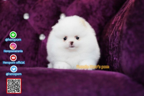 F05126 Edit 191207 0007