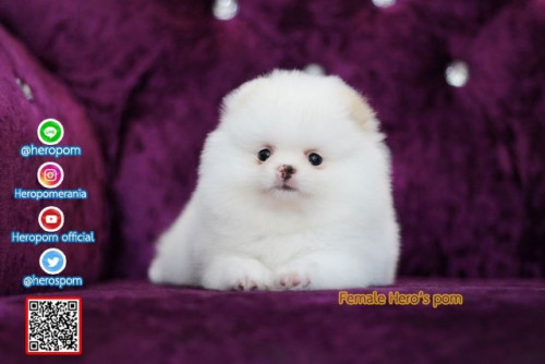 F05126 Edit 191207 0009