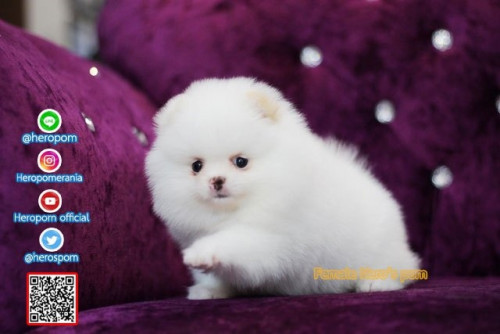 F05126 Edit 191207 0011