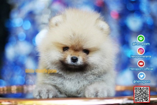 F06123 Edit 191207 0003