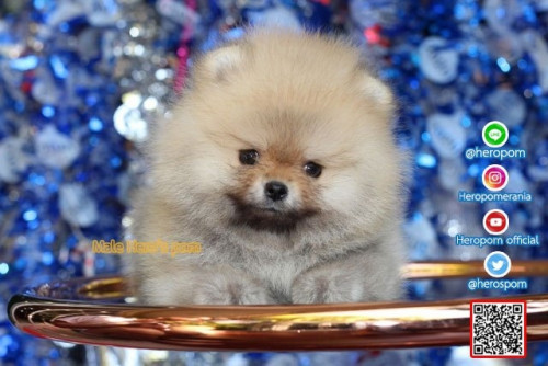 F06123 Edit 191207 0008