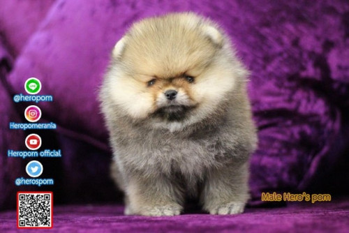 M07122 Edit 191207 0003