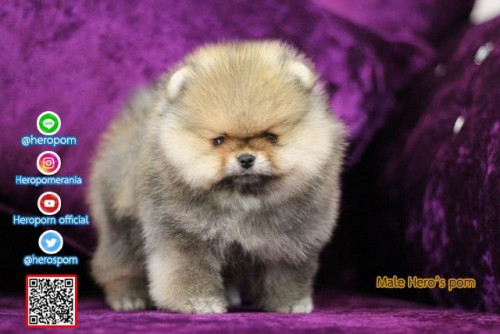 M07122 Edit 191207 0005