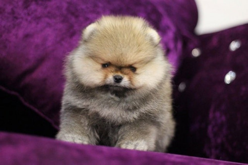 M07122 Edit 191207 0009