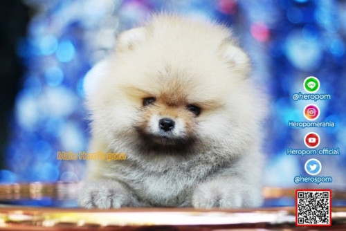 F06123 Edit 191207 0005