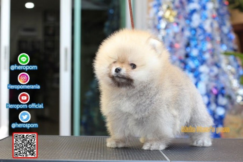 F06123 Edit 191207 0012