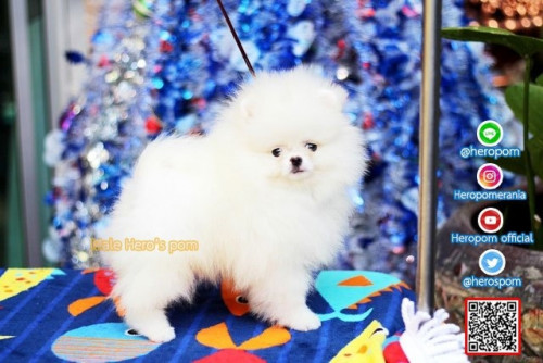 M05123 Edit 191207 0002