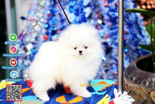 M05123 Edit 191207 0003