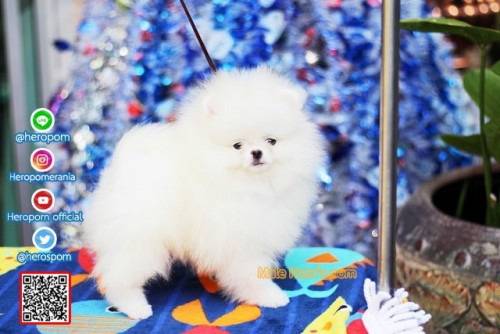 M05123 Edit 191207 0004