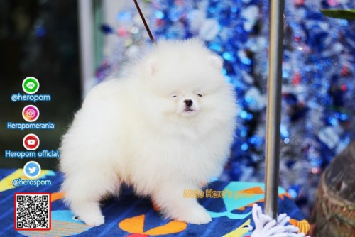 M05123 Edit 191207 0008