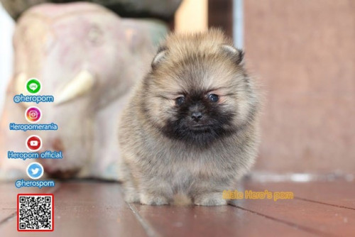 M04121 Edit 191207 0001