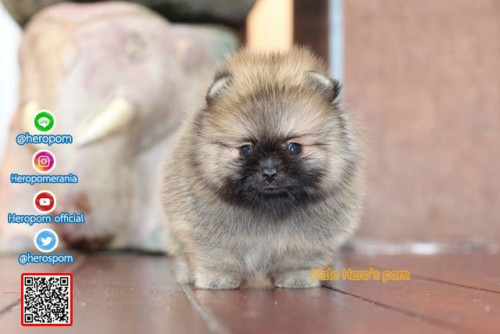 M04121 Edit 191207 0002