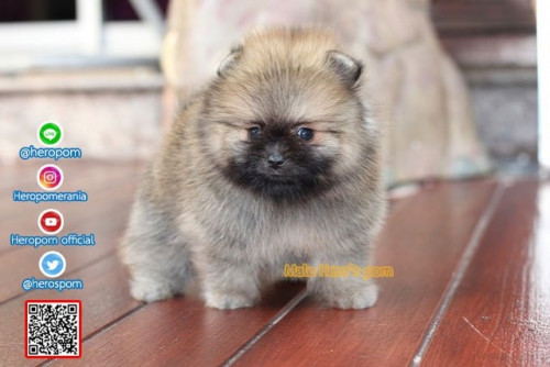 M04121 Edit 191207 0009