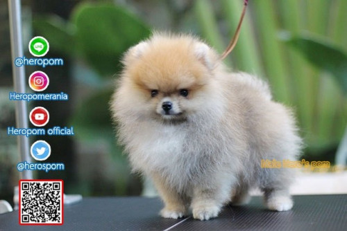 M30111 Edit 191202 0002