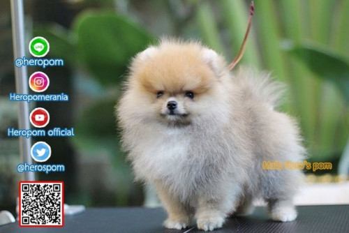 M30111 Edit 191202 0003