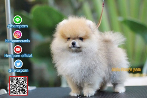 M30111 Edit 191202 0004