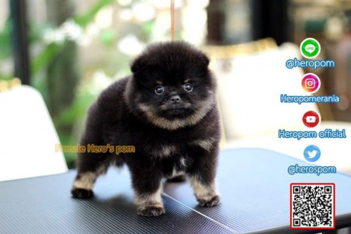 F011121 Edit 191201 0003