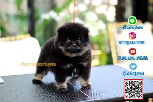 F011121 Edit 191201 0009