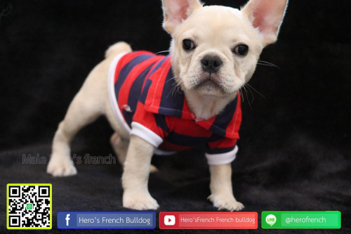 Fren M21111901 Edi 191122 0001