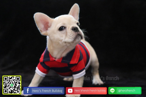 Fren M21111901 Edi 191122 0008