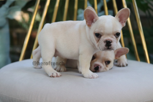 M1 ๑๙๑๒๑๓ 0005