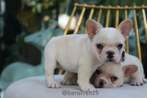 M1 ๑๙๑๒๑๓ 0009