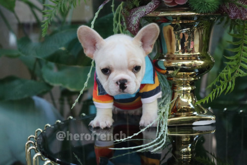 M ๑๙๑๒๑๓ 0005